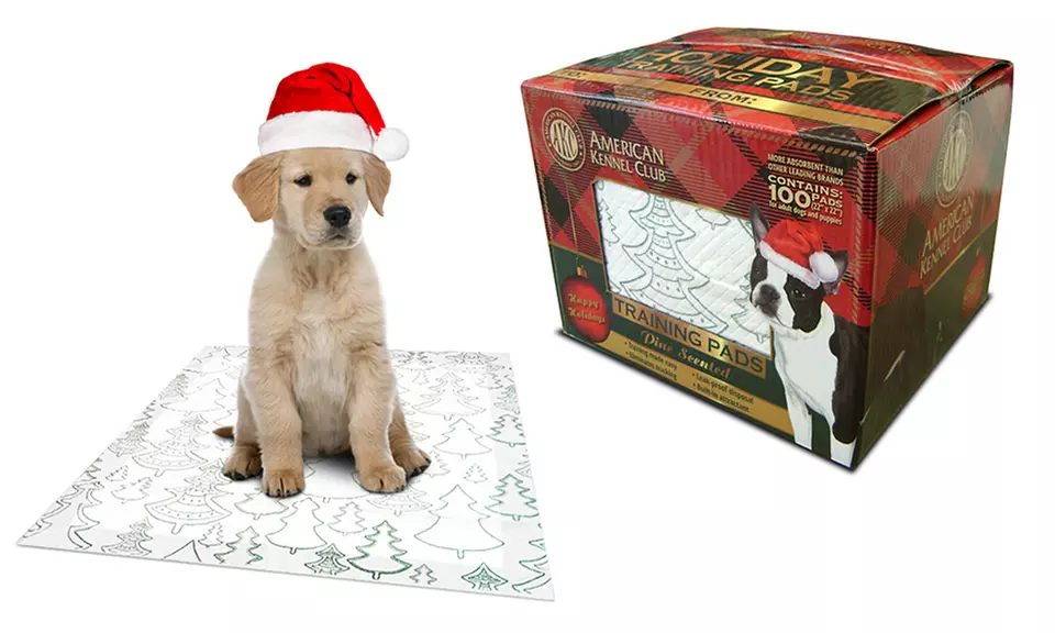 AKC Christmas Pine-Scented Puppy Pads (100-Count) - Primary Image