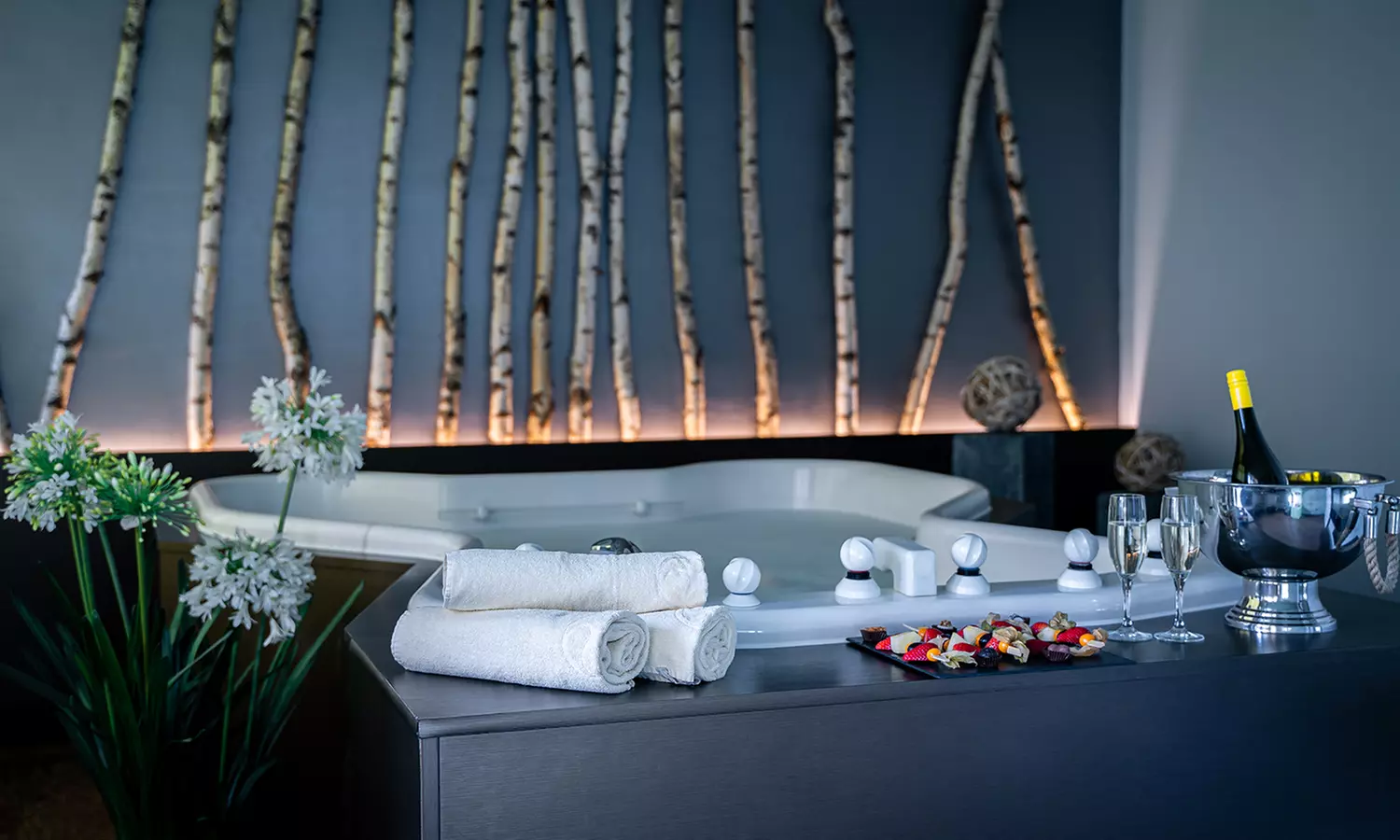 Tageskarte SPA mit Gesichtsbehandlung