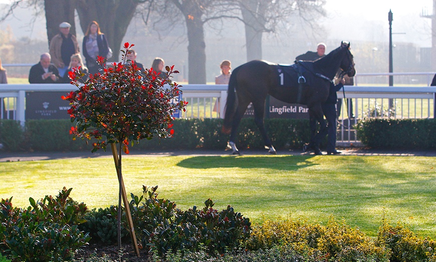 Image 2: Lingfield Park Racing