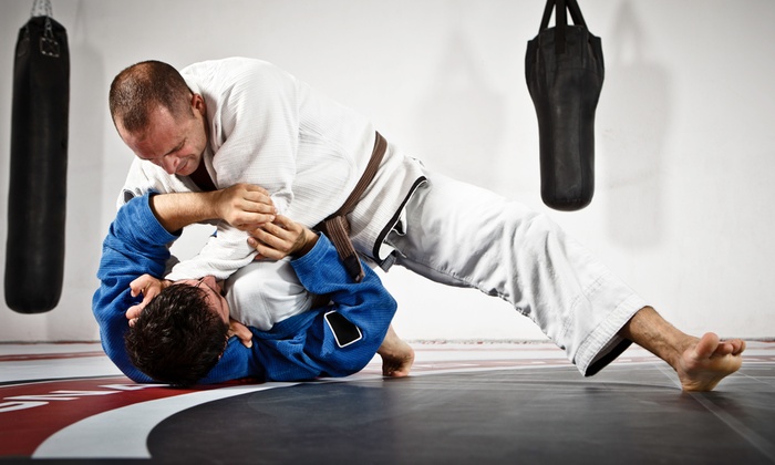 Brazilian Jiu Jitsu Classes - ZR Team California | Groupon