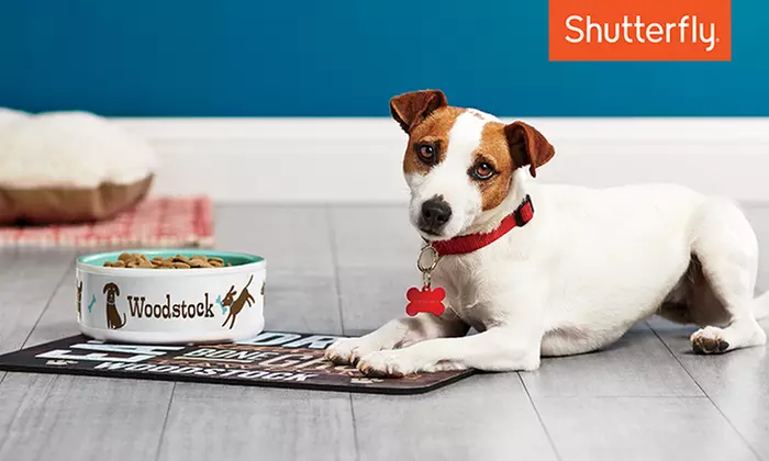 Customized Pet Bowl from Shutterfly (Up to 50% Off). Two Sizes Available. - Primary Image