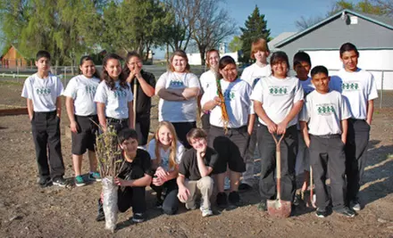 $10 Donation to Plant and Care for a Tree - Second Medium