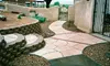 $2,999 for up to 1,500 Square Feet of Xeriscaping from Landsculptors Inc. (Up to $5,999 Value)