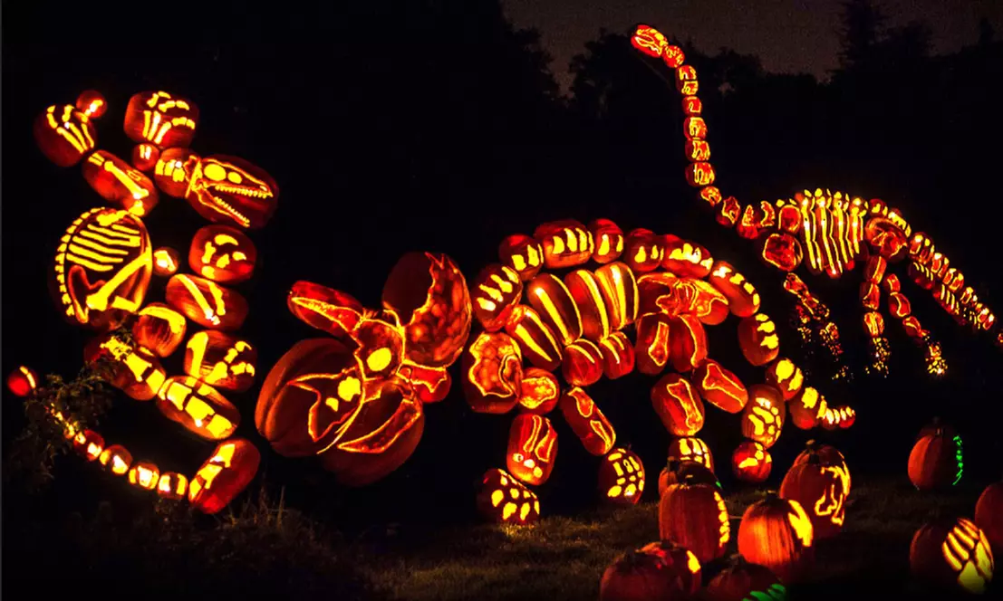 Admission for One to RISE of the Jack O'Lanterns (Up to 31% Off). Four Dates Available. - Primary Image