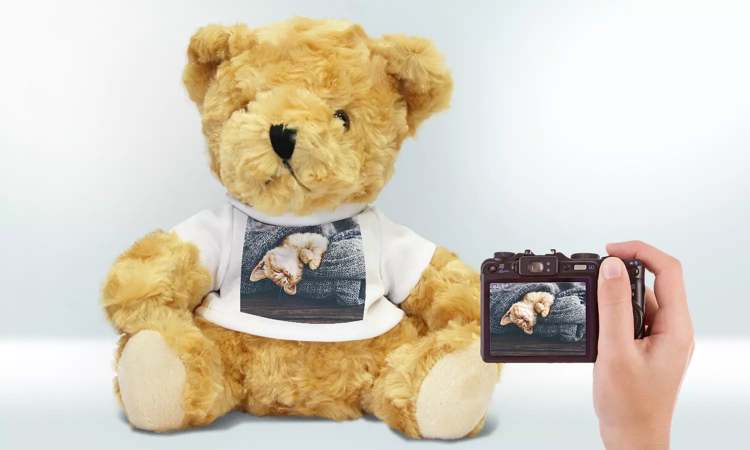 Custom Photo Teddy Bear (Up to 91% Off) - Second Medium