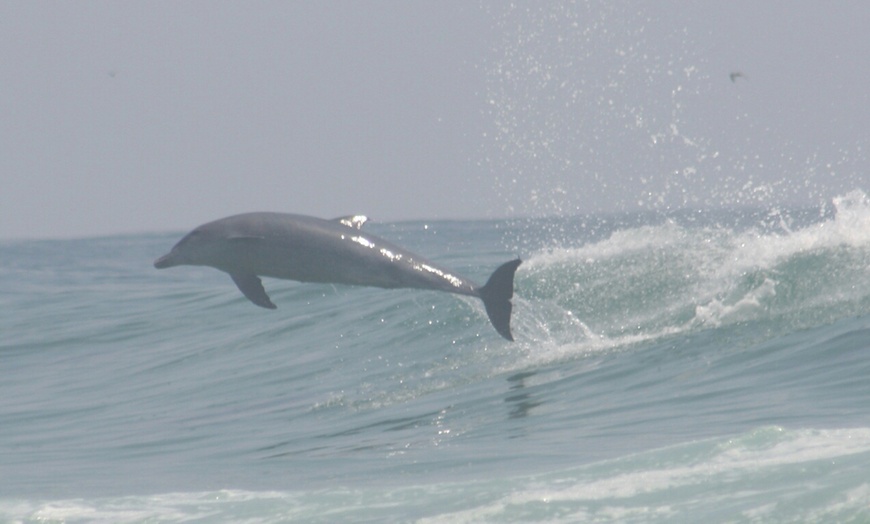 Image 6: 2.5-Hour Aussie Surf Lesson Package