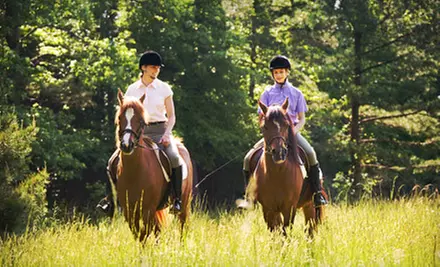 Riding Lesson or Scenic Trail Ride for Two from Dunham Sport Horses in Little Valley (51% Off) - Primary Image