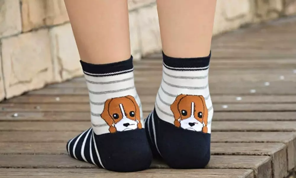1, 5 ou 10 paires de chaussettes colorées à motifs chiens