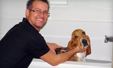 $69 for Three Hours of In-Home Pet Care from My Pet's Butler ($155 Value) - Primary Image