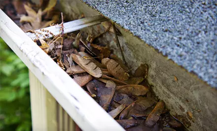 Gutter Cleaning and Safety Roof Inspection from EcoRoof Care & Repair (Up to 85% Off). Three Options Available. - Primary Image