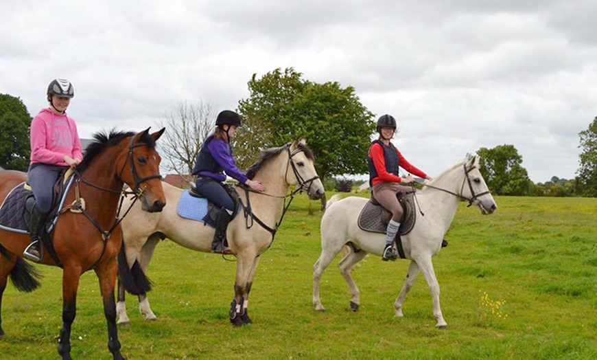 Image 5: 90-Minute Horse Riding Session