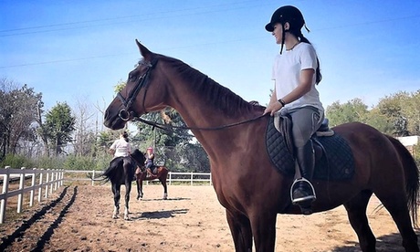 Una o 3 lezioni di equitazione per adulti e bambini con Asd La Fenice Equitazione (sconto fino a73%)