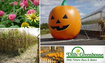 $4 for One General Admission Ticket to Fall Fun Festival - Primary Image