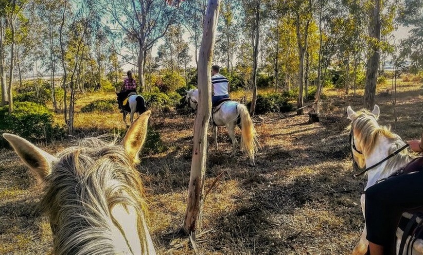 Image 2: Ruta a caballo para 1, 2 o 4 personas en Rancho Los Girasoles