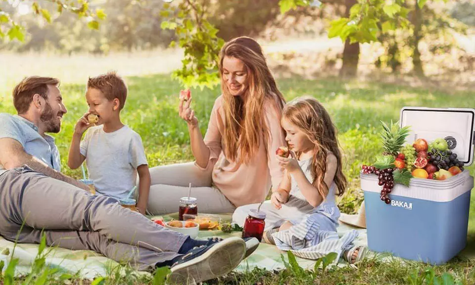 Frigorifero elettrico portatile Bakaji da 24 L