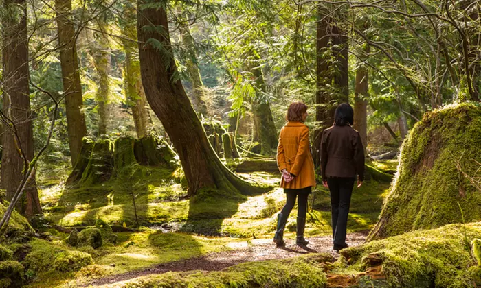 Public Garden Visit or Holiday Village Visit for Two at The Bloedel Reserve (Up to 50% Off) - Second Medium