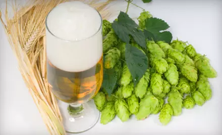 Two Beer-Brewing Sessions or Kits at Do Your Brew in Westminster - Primary Image