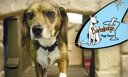 $10 for One Day at Barkalounge Doggy Daycare ($25 Value) - Primary Image