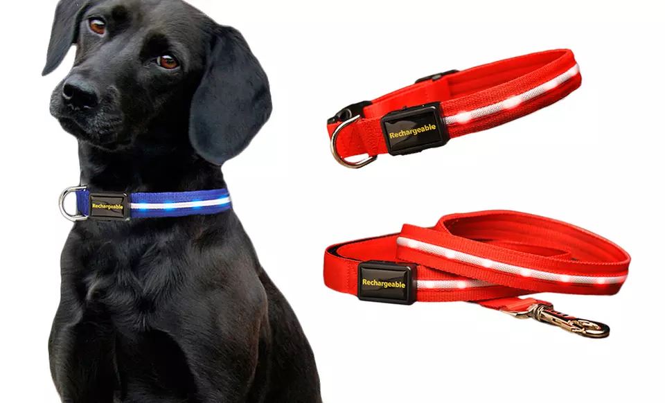 Series 3000 USB Rechargeable LED Dog Collar or Leash from $18.99–$20.99 - Primary Image