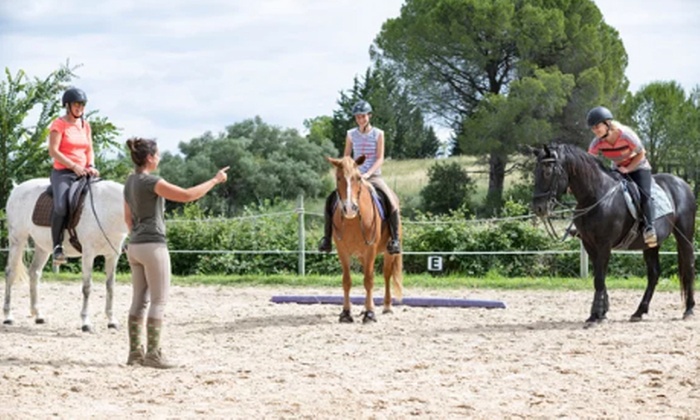 90-Minute Introduction to Horse Trail Riding for up to 4 People