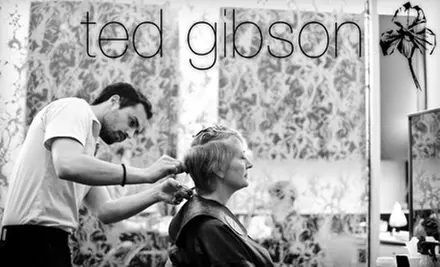 $75 for Haircut and Phyto Hair Spa Scalp Treatment at Ted Gibson Salon & Hela Spa in Chevy Chase - Primary Image