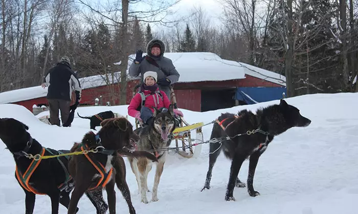Intro to Dog-Sledding Adventure Bus Day Trip for 1, 2, or 10 from Toronto Adventures Inc. (Up to 42% Off) - Second Medium