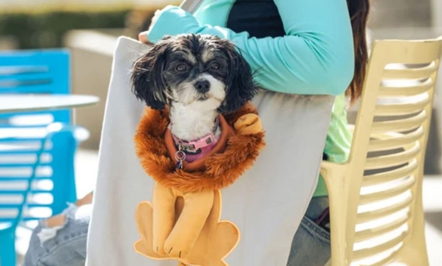 Image 7: Lion-Shaped Pet Canvas Shoulder Bag