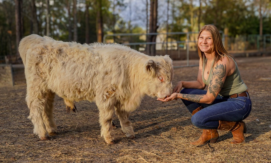 Image 9: Farm Tour at Hodges Hidden Highlands Farm in Middleburg, FL