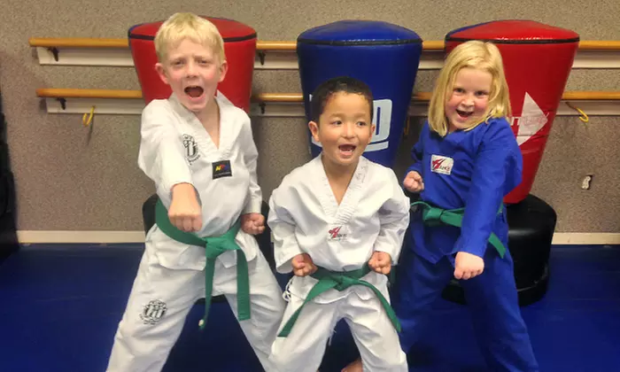 One Month of Martial-Arts or Gymnastics Classes for One or Two at Kim's USA Taekwondo and Gymnastics (90% Off) - Primary Image