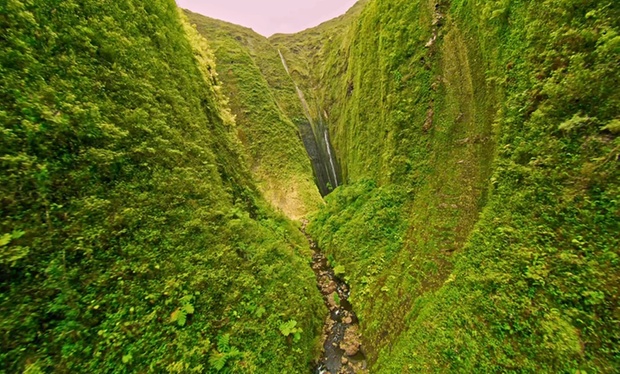 What to expect media