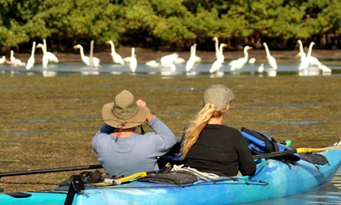 2-Hour Guided Kayak Tour for Two or Four from Calypso Kayaking on Merritt Island (Half Off) - Primary Image