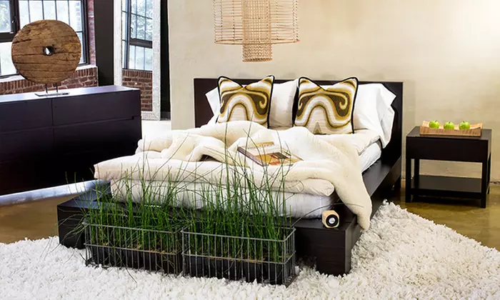 Sustainable Home Decor, Accessories, and Gifts from Bambeco (Half Off). Two Options Available. - Primary Image