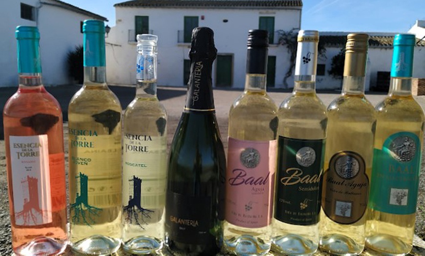 Image 10: Visita a bodega y cata de 5 vinos premiados o almuerzo/cena para 2 o 4
