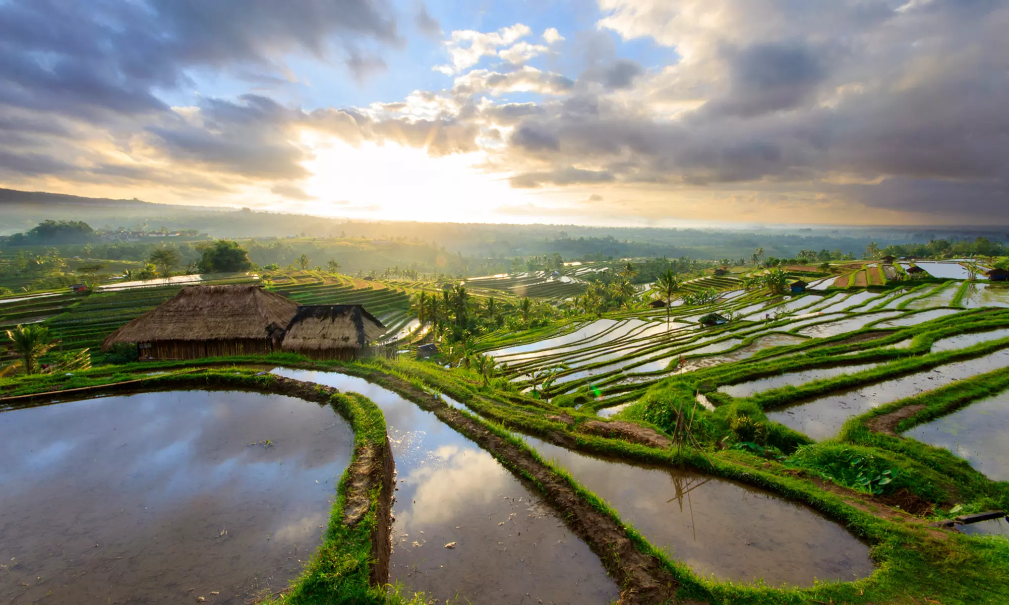 ✈ 10-Day Tour of Bangkok, Pattaya & Bali with Air from Intertrips 