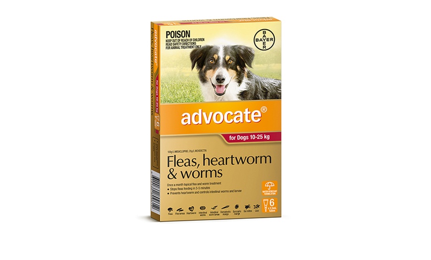 Image 7: Advocate 6-Pack Flea Treatment