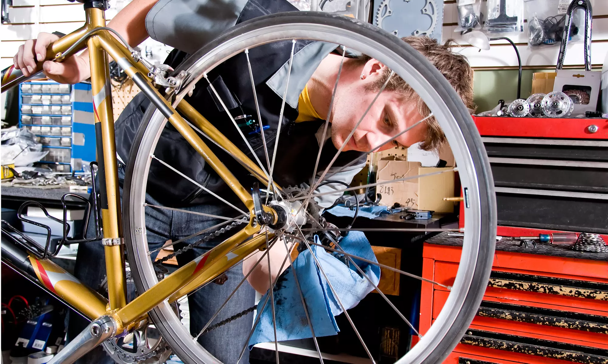 $19 for Bicycle Tune-Up Service at Trek Bicycle Store ($45 Value) - Primary Image