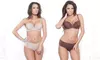 3-Pack of Affinitas Intimates Push-up Bras or Hipster Panties in Assorted Colors. Multiple Options From $22.99–$39.99.
