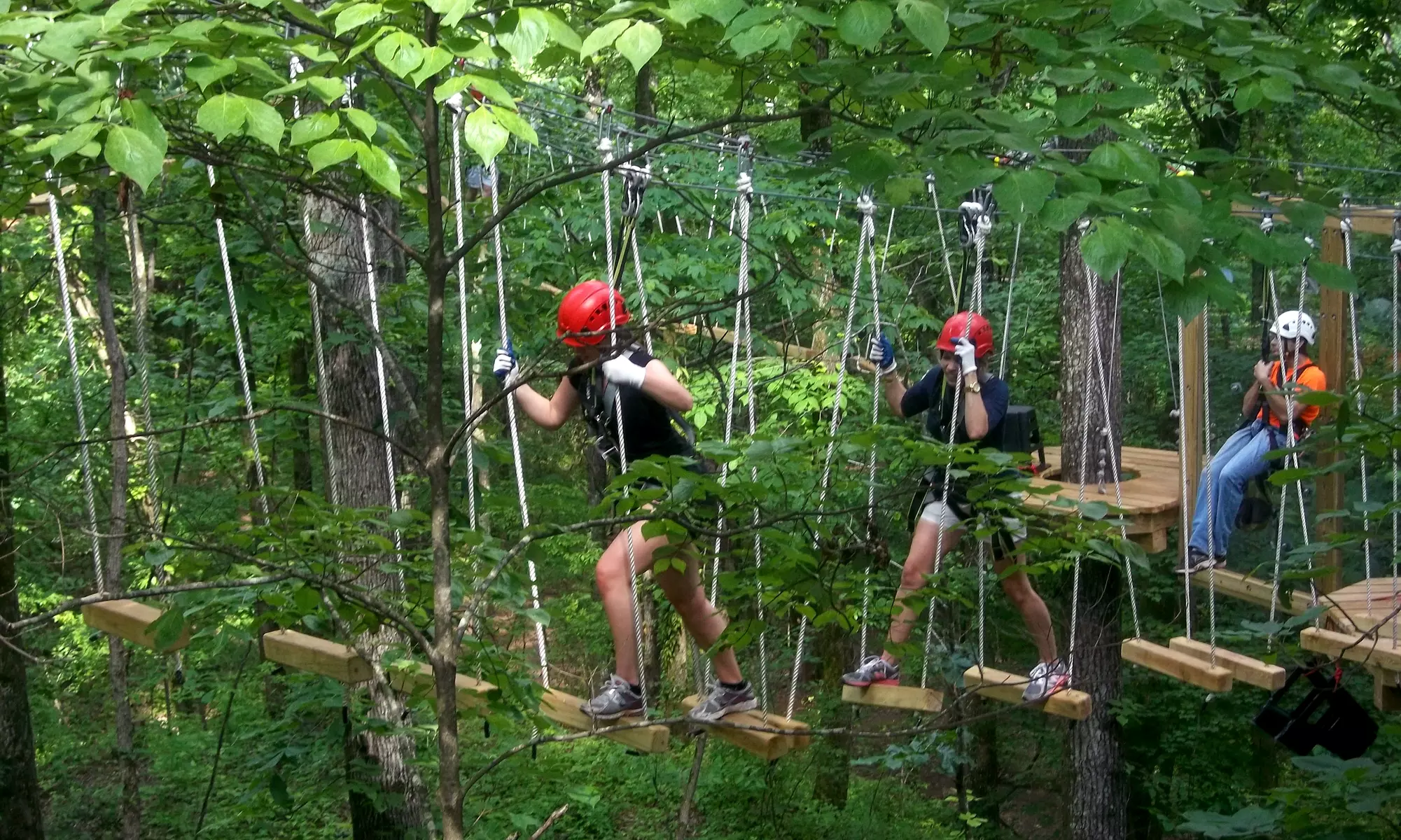 Ropes Course for One, Two, Four, or Six in the Hugh Kaul Beanstalk Forest at Red Mountain Park (Up to 46% Off)  - Primary Image