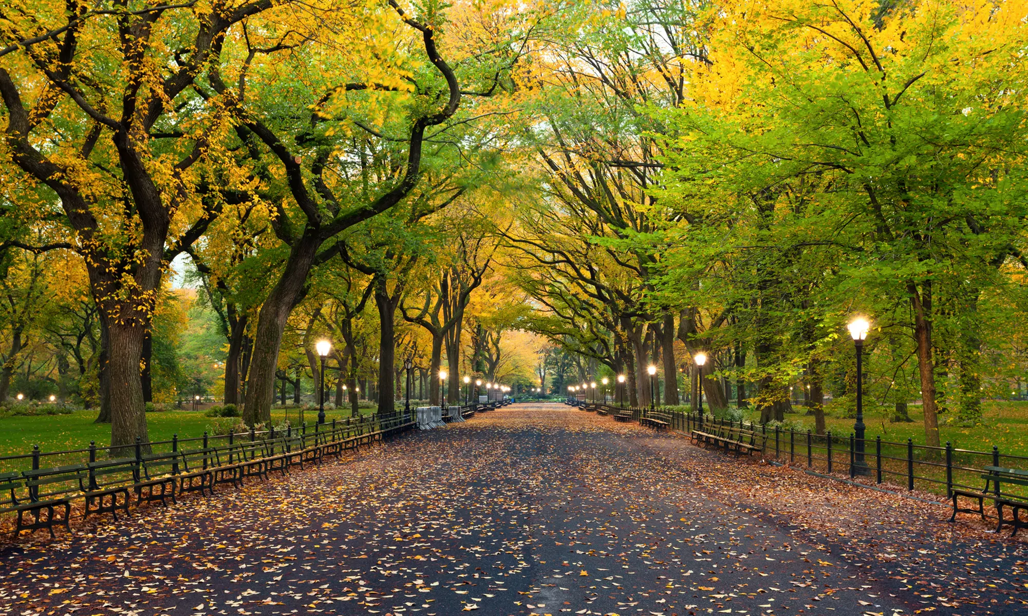 60-Minute or Two-Hour Bike Tour for Two, or 60-Minute Pedicab Tour for Three from Zebra NYC (Up to 54% Off) - Primary Image