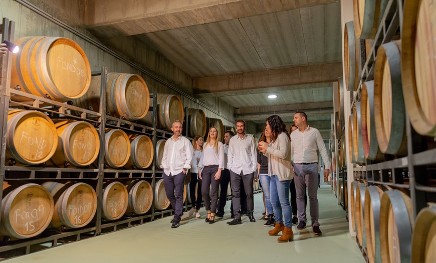 Image 22: Visita guiada a bodega con cata de 4 vinos, 2 AOVE y embutidos