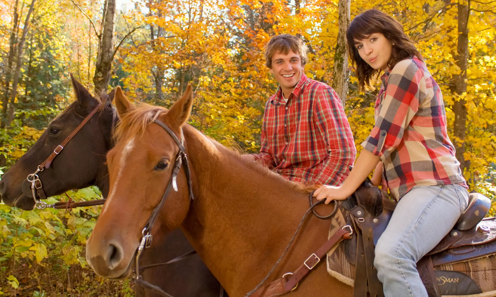$22 for $50 Worth of Horseback Riding — Silver Wind Stables - Primary Image