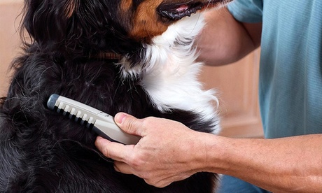 Pettine elettrico taglia e sciogli nodi per cani e gatti