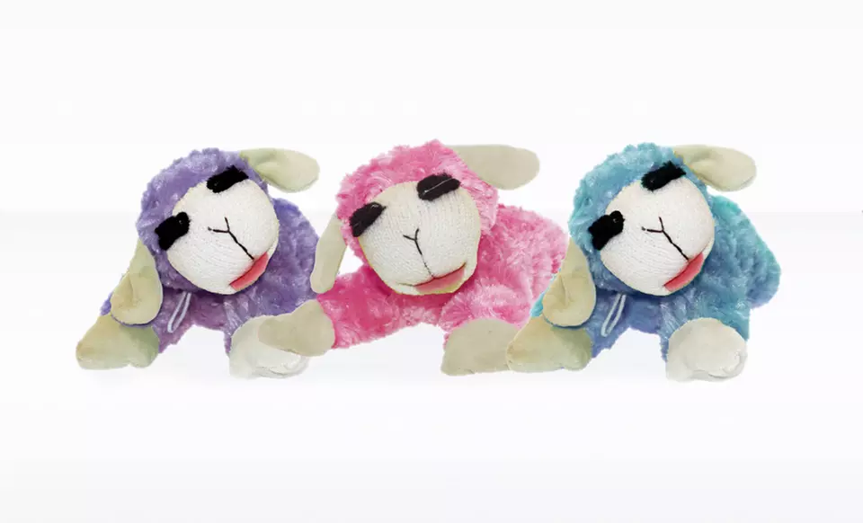 $4.99 for a Multipet Lamb Chop 10" Dog Toy ($9.13 List Price). Multiple Colors Available. Free Returns. - Primary Image
