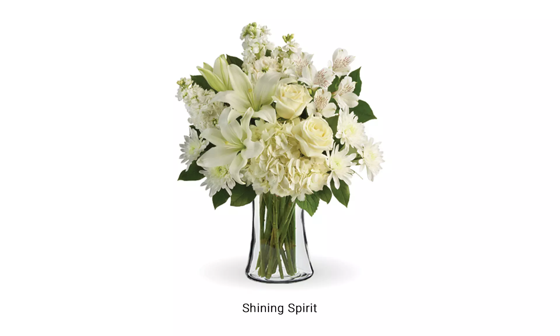 Winter Flower Arrangements from Blooms Today with Vase and Flower Delivery Included (Up To 25% Off)