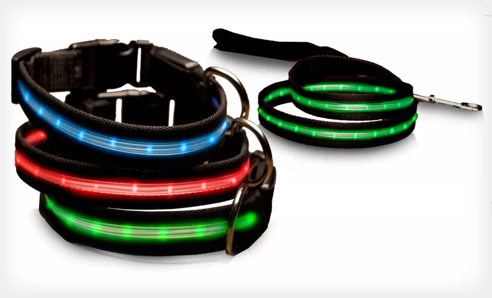 ShopTough LED Pet Collars and Leashes (Up to 78% Off). Multiple Colors and Sizes Available. Free Returns. - Primary Image