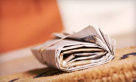 1-Year Sunday Subscription or 1-Year Sunday Subscription with Digital Subscription to “The Telegraph” (Up to 87% Off) - Primary Image