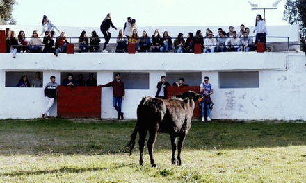 Fiesta de cumpleaños infantil con hinchables, paseo a caballo, almuerzo y bebida por persona para 20 niños - Hipica El Diamante