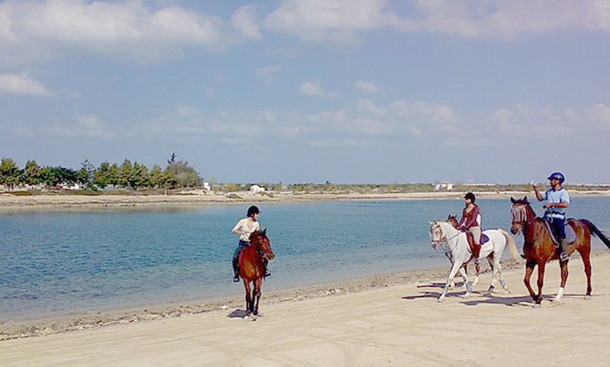 Image 3: One-Hour Desert Horse Ride