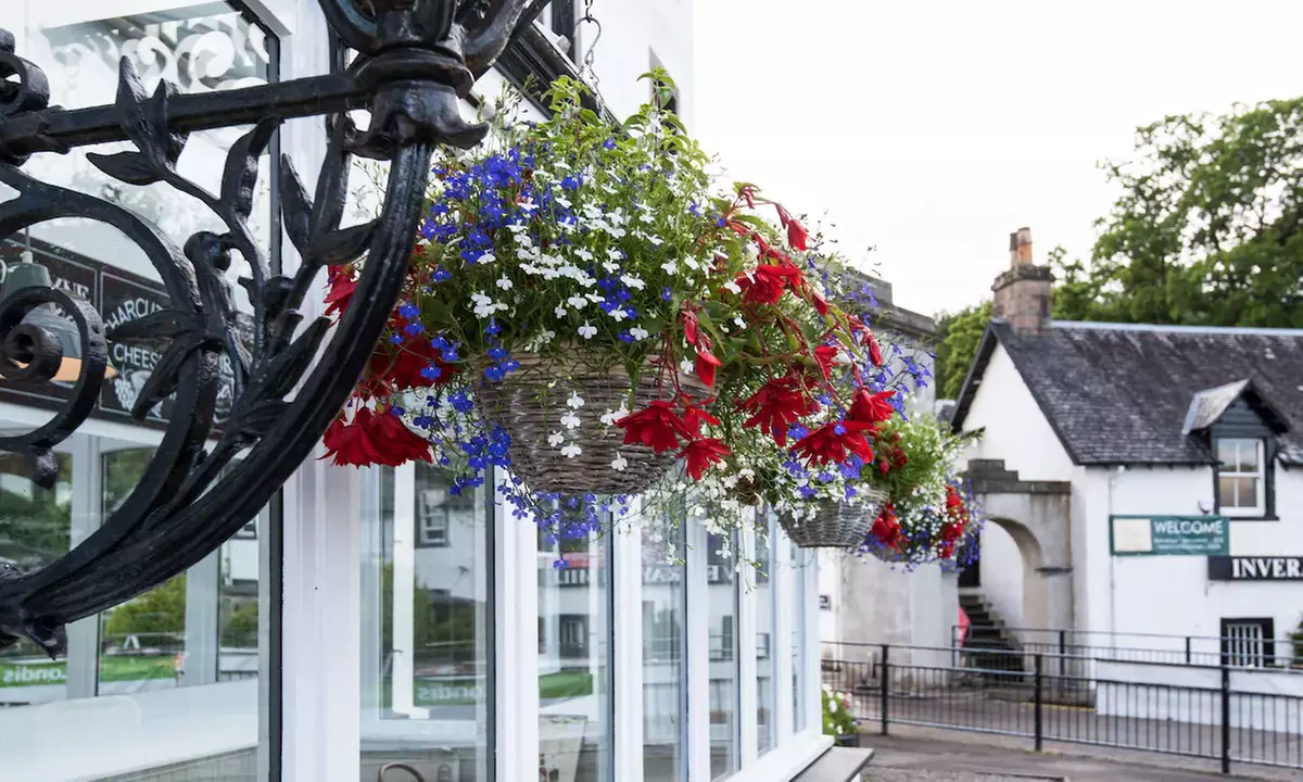 Argyll and Bute: Standard Double Room with Breakfast