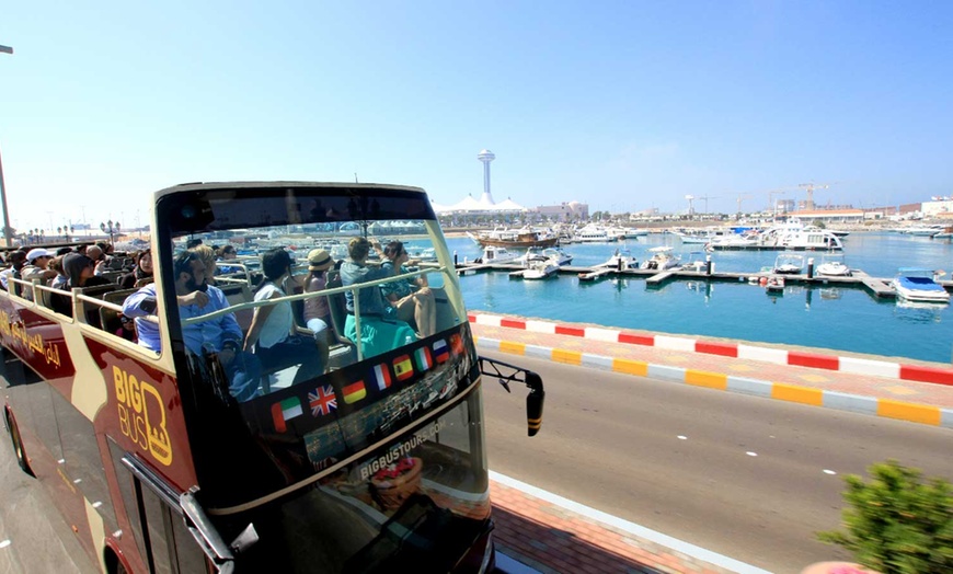 Image 3: Essential Abu Dhabi Bus Adventure Awaits